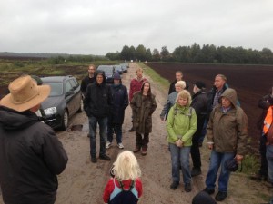 Windkraft im Moor?