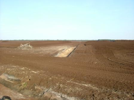 Torfabbau bis auf den Sand