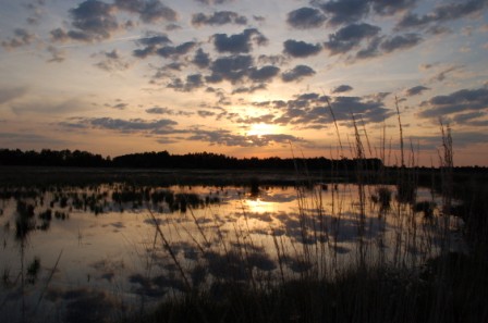 Sonnenuntergänge im Vehnemoor