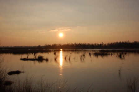 Sonnenuntergänge im Vehnemoor