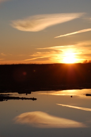 Sonnenuntergänge im Vehnemoor