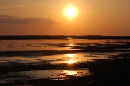 Sonnenuntergänge im Vehnemoor