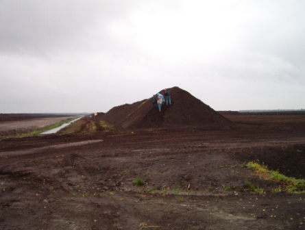 Torfwall am Rande des Dustmeer