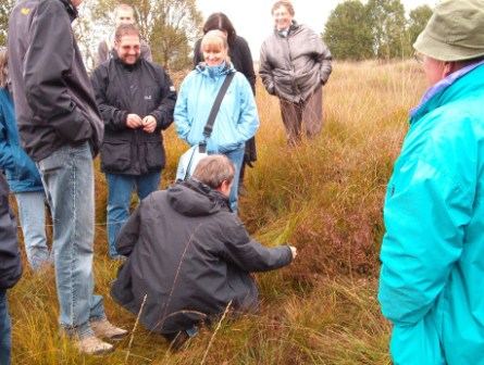 Die Teilnehmer der Exkursion begutachten bei herbstlichem Regenwetter die Vegetation im Naturschutzgebiet